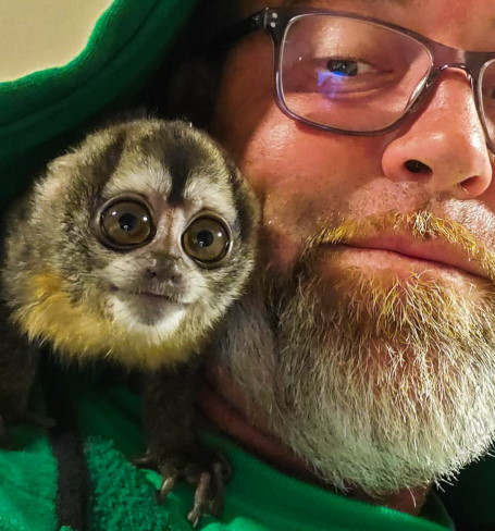Oliver the Owl Monkey with wildlife expert Daniel Green